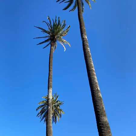 La Casa Nueva De La Montana